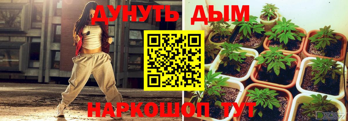 Бошки Шишки тримм  Конопля Ganja  Вход с VPN  Алушта  Каннабис ГИДРОПОН  Шишки марихуана Bruce Banner 